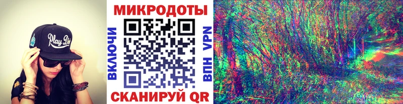 Псилоцибиновые грибы Cubensis  Ессентукская 